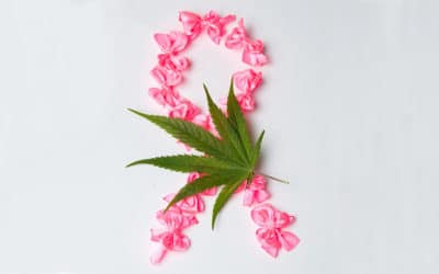 What to Know Before Using Cannabis for Breast Cancer
