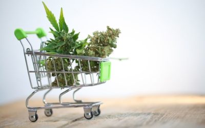 Cannabis Shop or Delivery What’s The Difference?