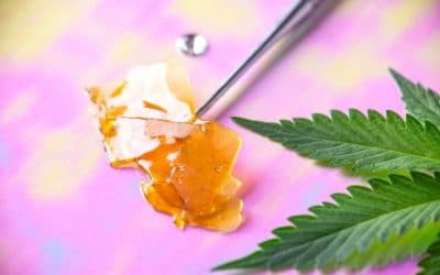 Cannabis Shatter Tips For New Users