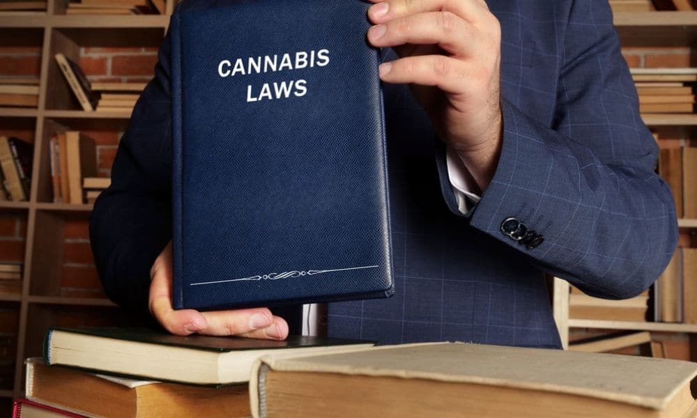 cannabis law