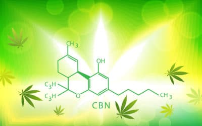 CBN Cannabinoid Benefits That Users Enjoy