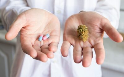 Advocating for Marijuana as Medicine